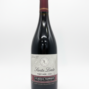 imagem Vinho Tinto Seco Santa Loreto Pinot Noir 